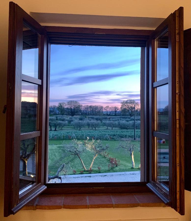 Opera Domini Asisium Bed & Breakfast Torchiagina Exterior photo